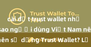 cài đặt trust wallet như thế nào Tại sao người dùng Việt Nam nên sử dụng Trust Wallet? Lợi ích và rủi ro