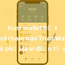 trust wallet hỗ trợ blockchain nào Trust Wallet có phải là ví điện tử uy tín tại Việt Nam không?